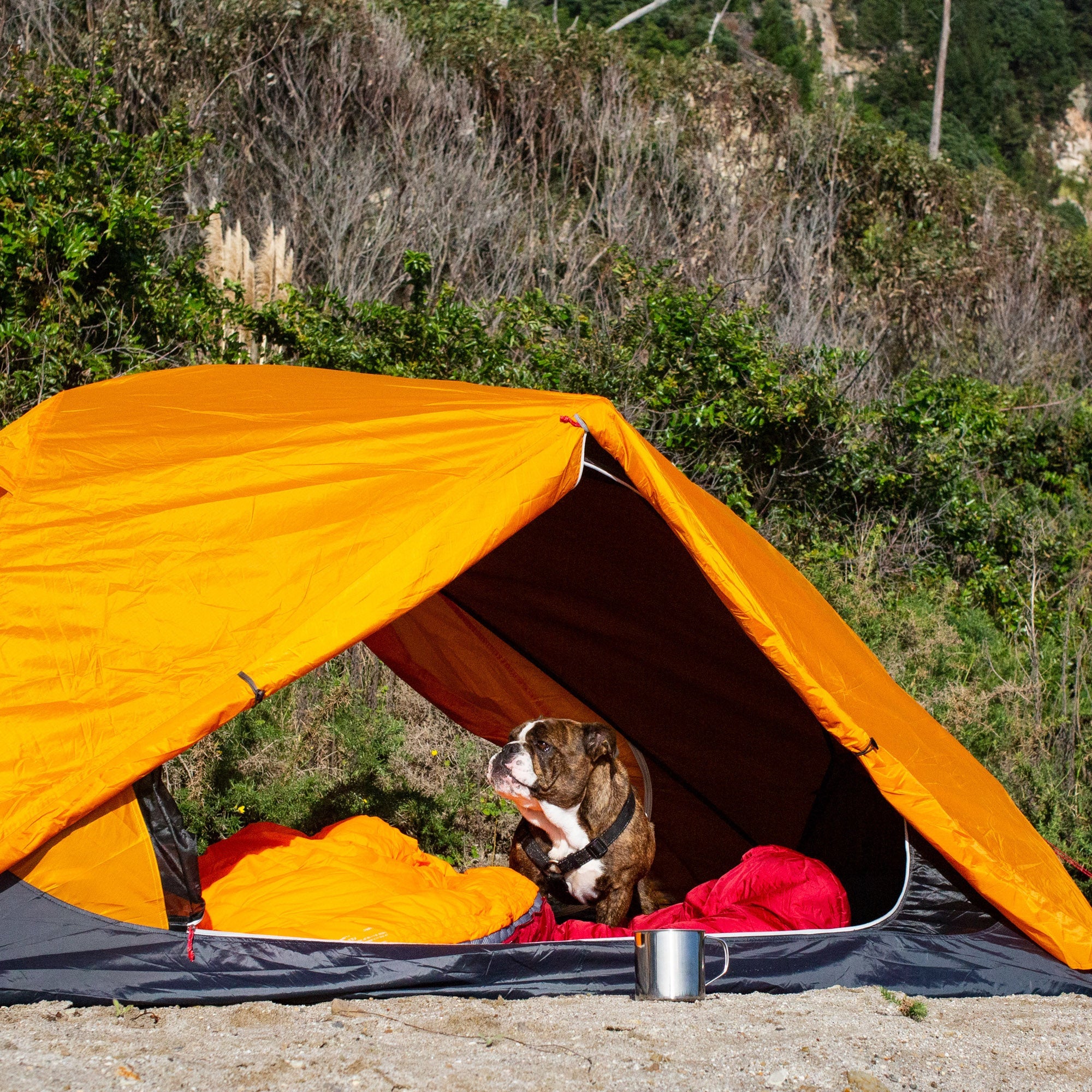 Zeus 2 Person Adventure Tent | Lightweight Hiking Tent – Zempire US/CA